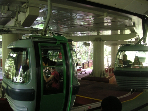 s_A_PICT0182.jpg